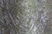 West Fields fibreglass roof work